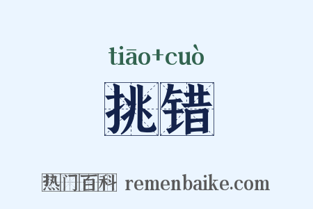 挑错是什么意思的图片